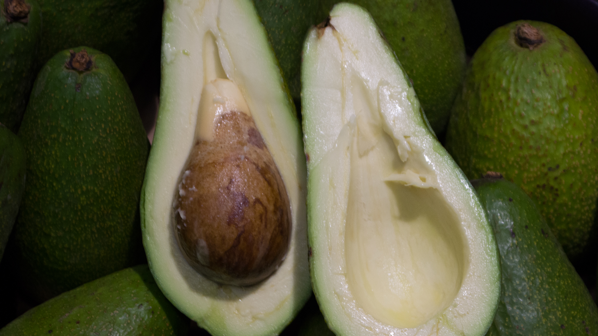 Avocado grün Kiste