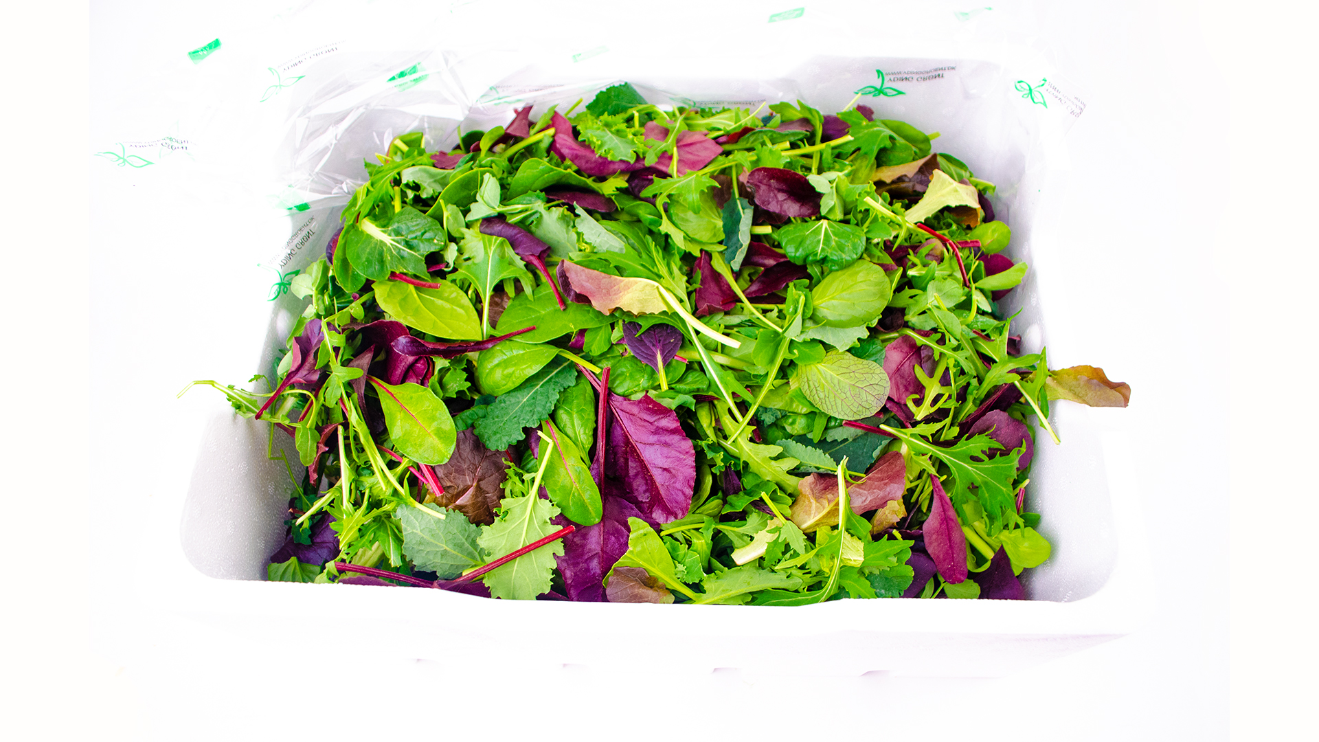 Baby Leaf Salat Mix kg
