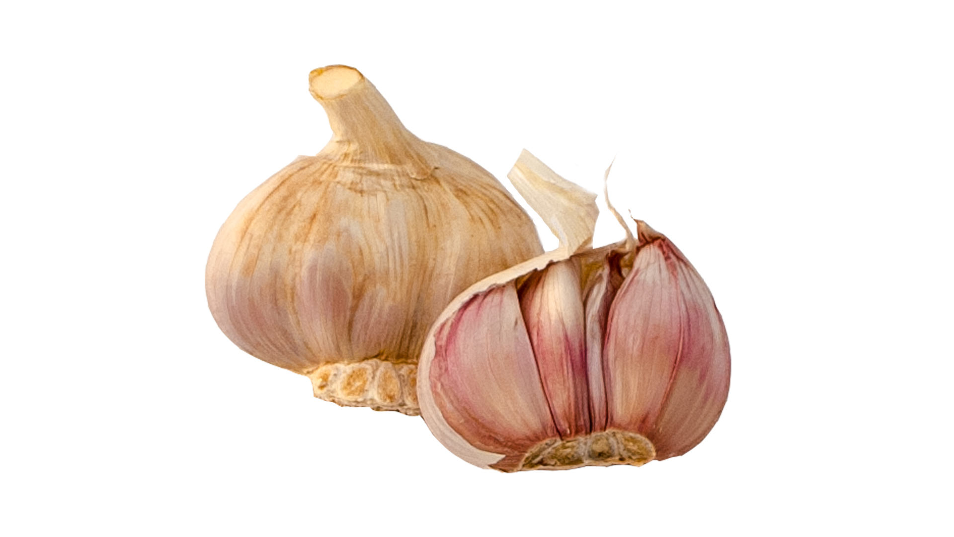 Knoblauch 