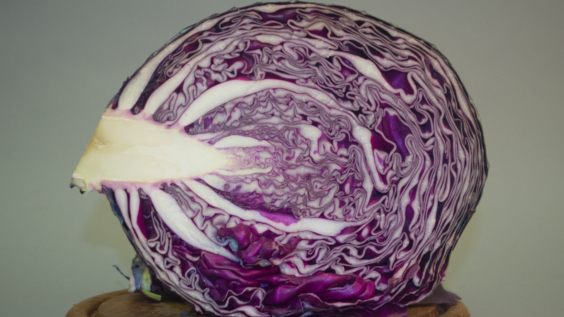 Rotkohl (Blaukraut) je Stück