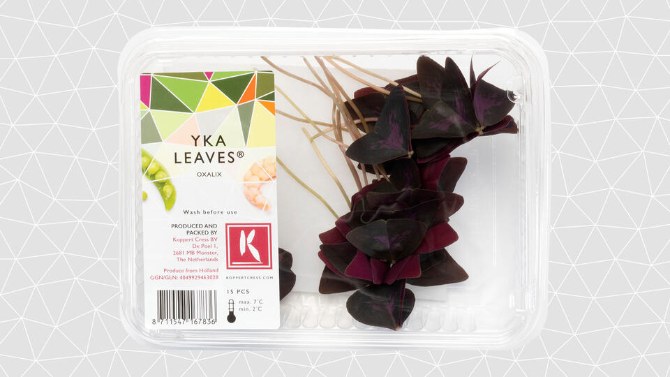 YKA Leaves