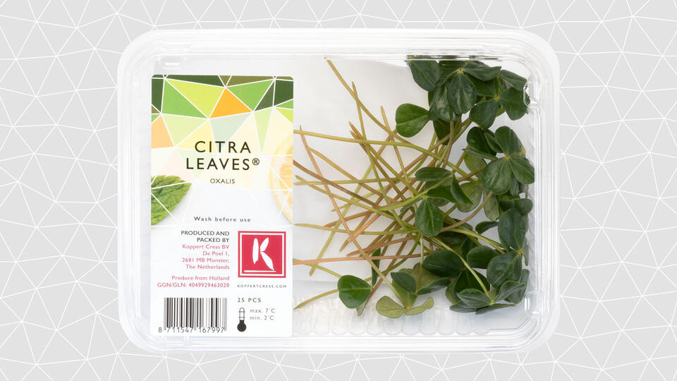 Citra Leaves Oxalis