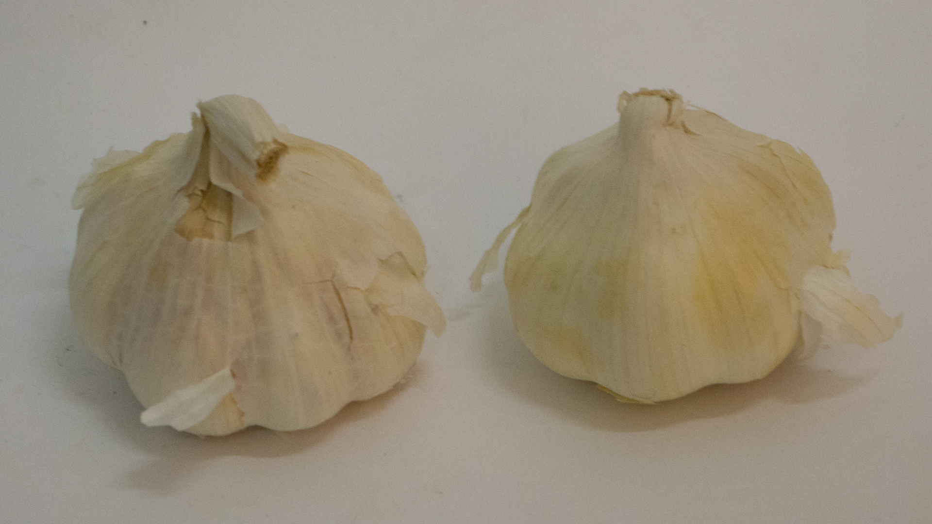 Knoblauch 