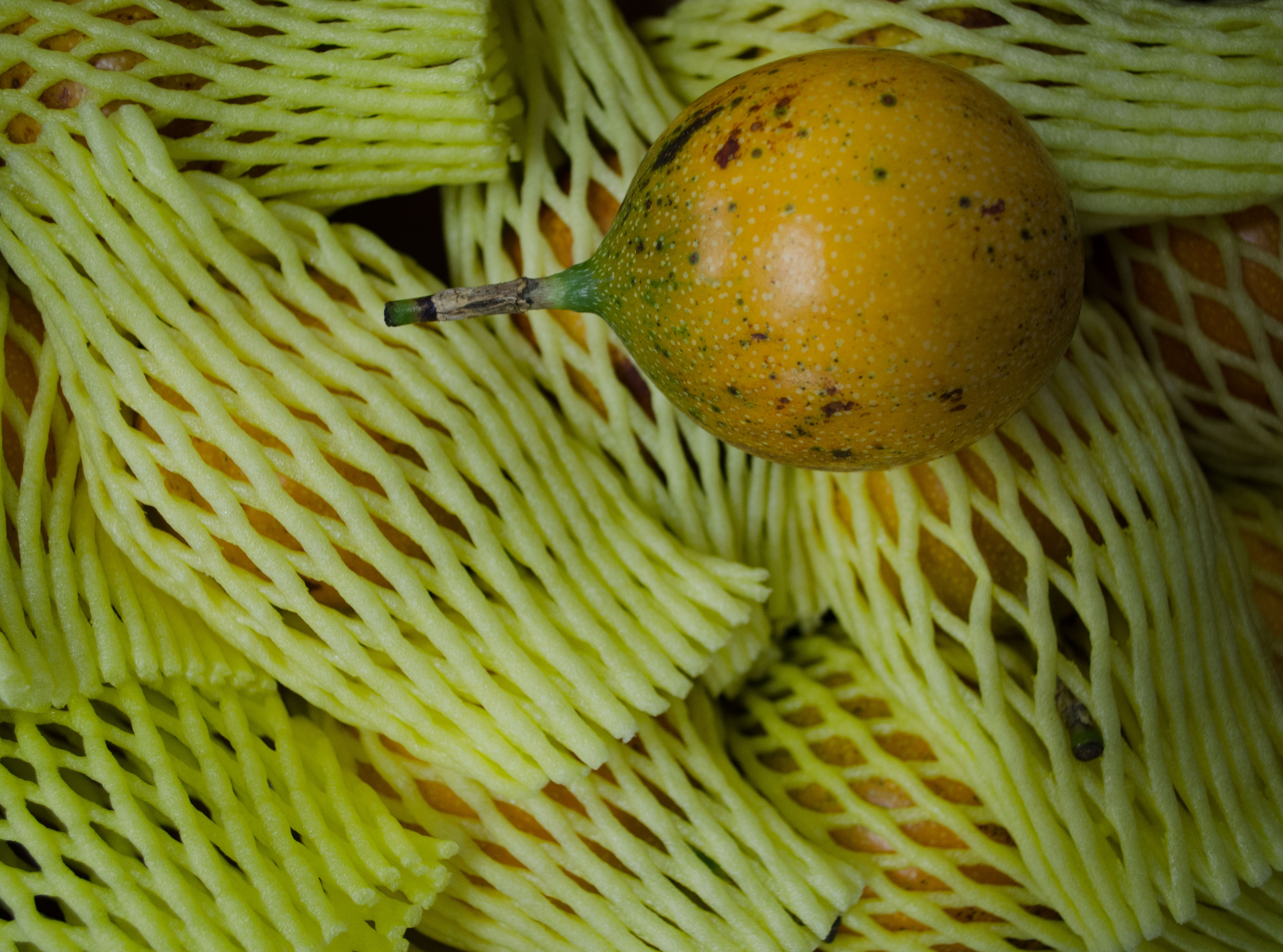 Bio Granadilla