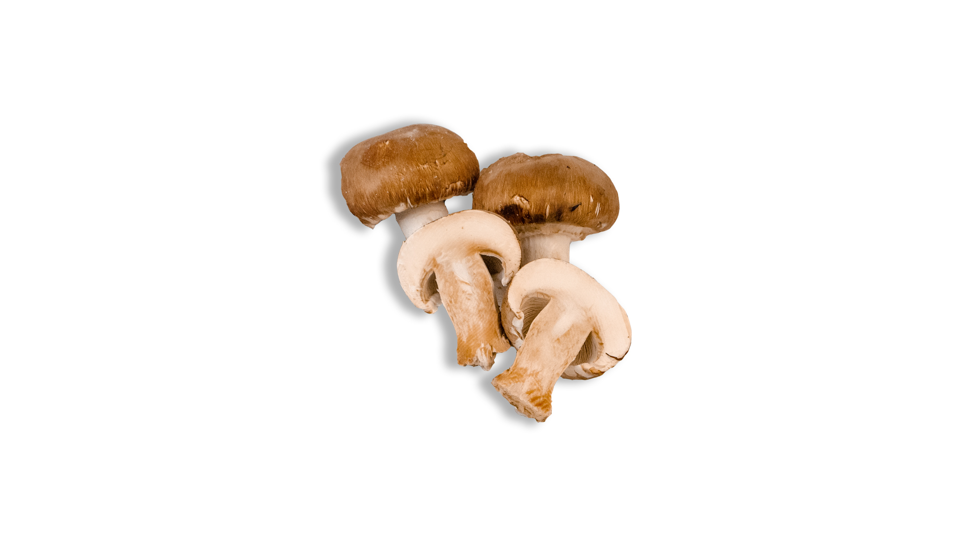 Champignon rosé-Frankreich Kiste