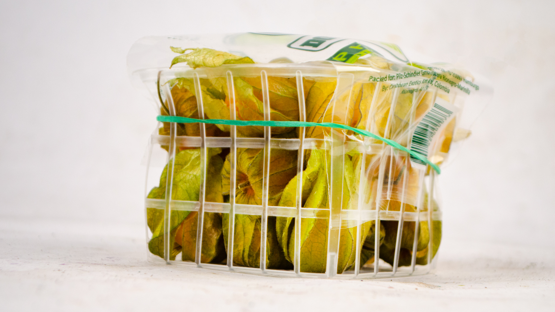Don-limon-physalis-seite