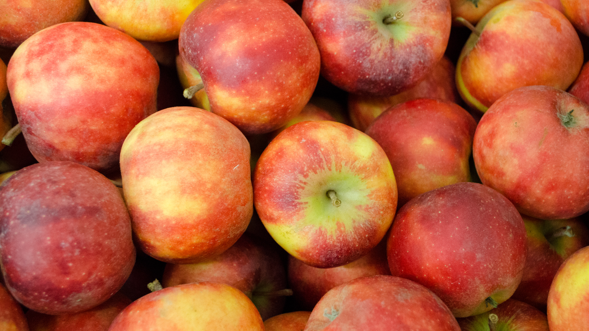 Bio-Apfel-Elstar5a6307463d7f5