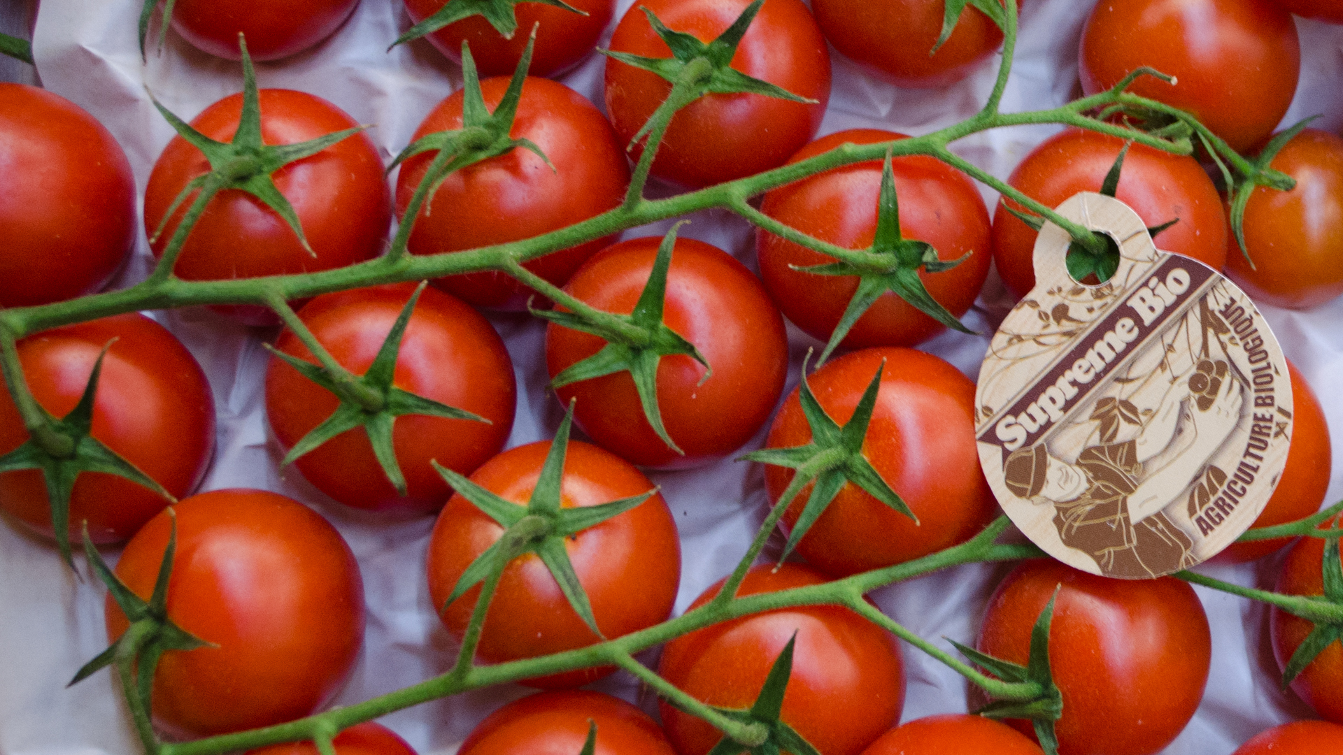 Bio Cherrystrauchtomaten 3kg Kiste