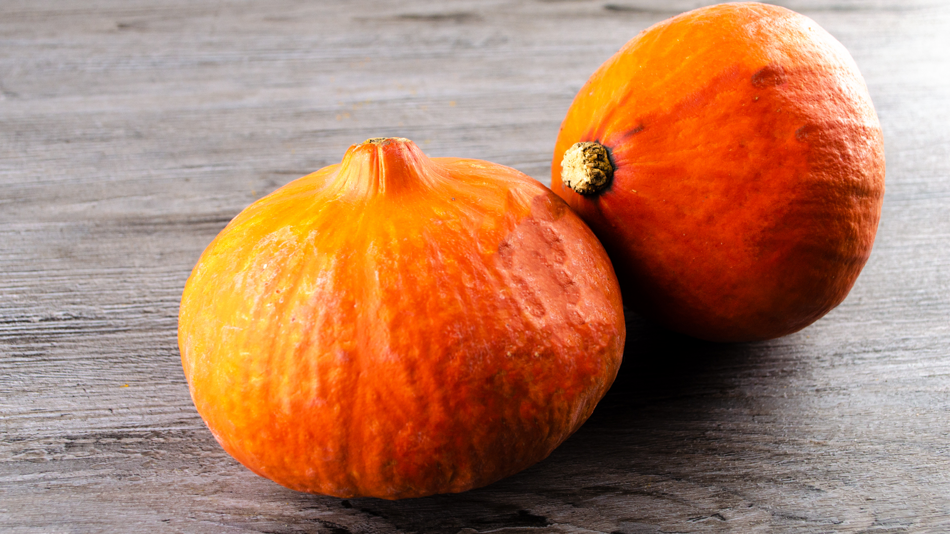 Hokkaido-K-rbise-klein