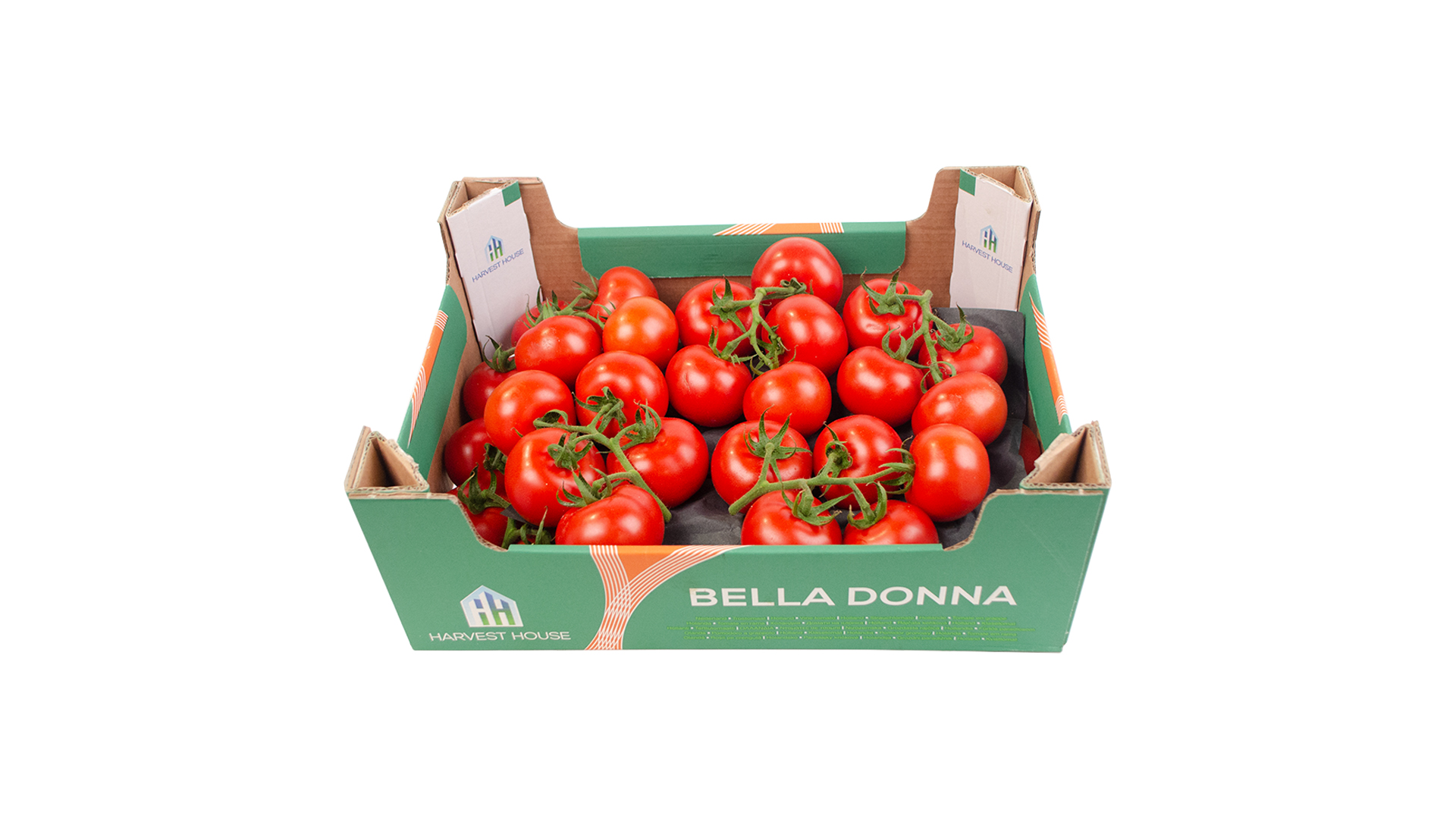 Tomaten Bella Donna "Strauch" NL