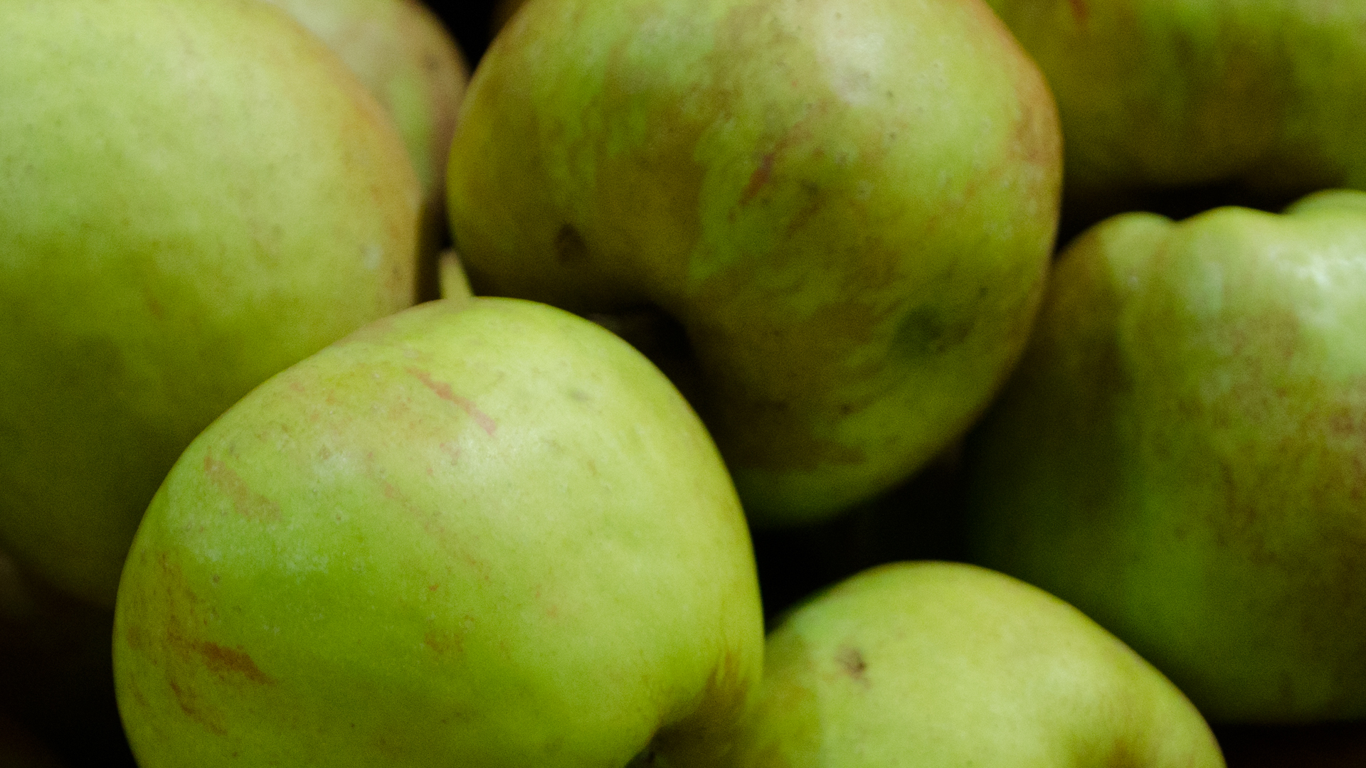 Apfel Finkenwerder Herbstprinz