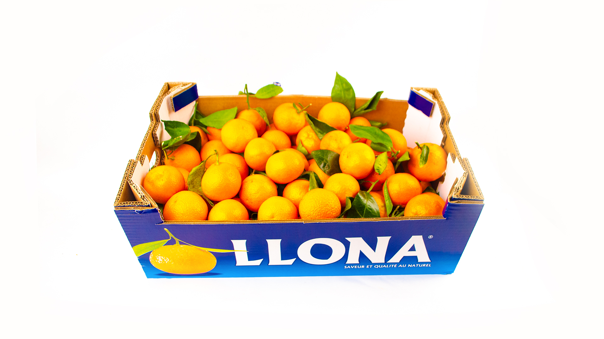llona-Mandarine Clementinen mit grün Kiste