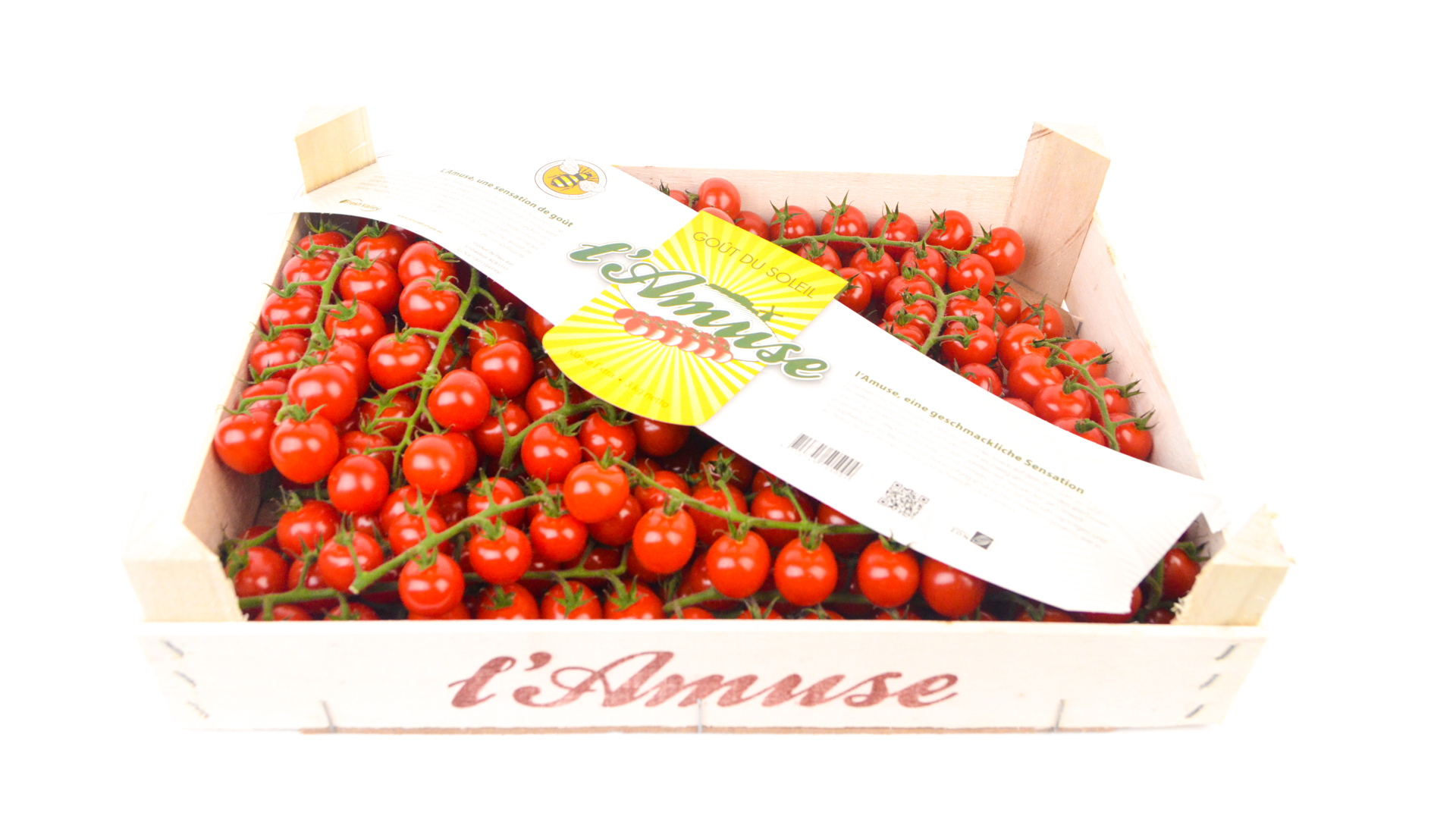 L Amuse Tomaten Cherry Strauch Kiste