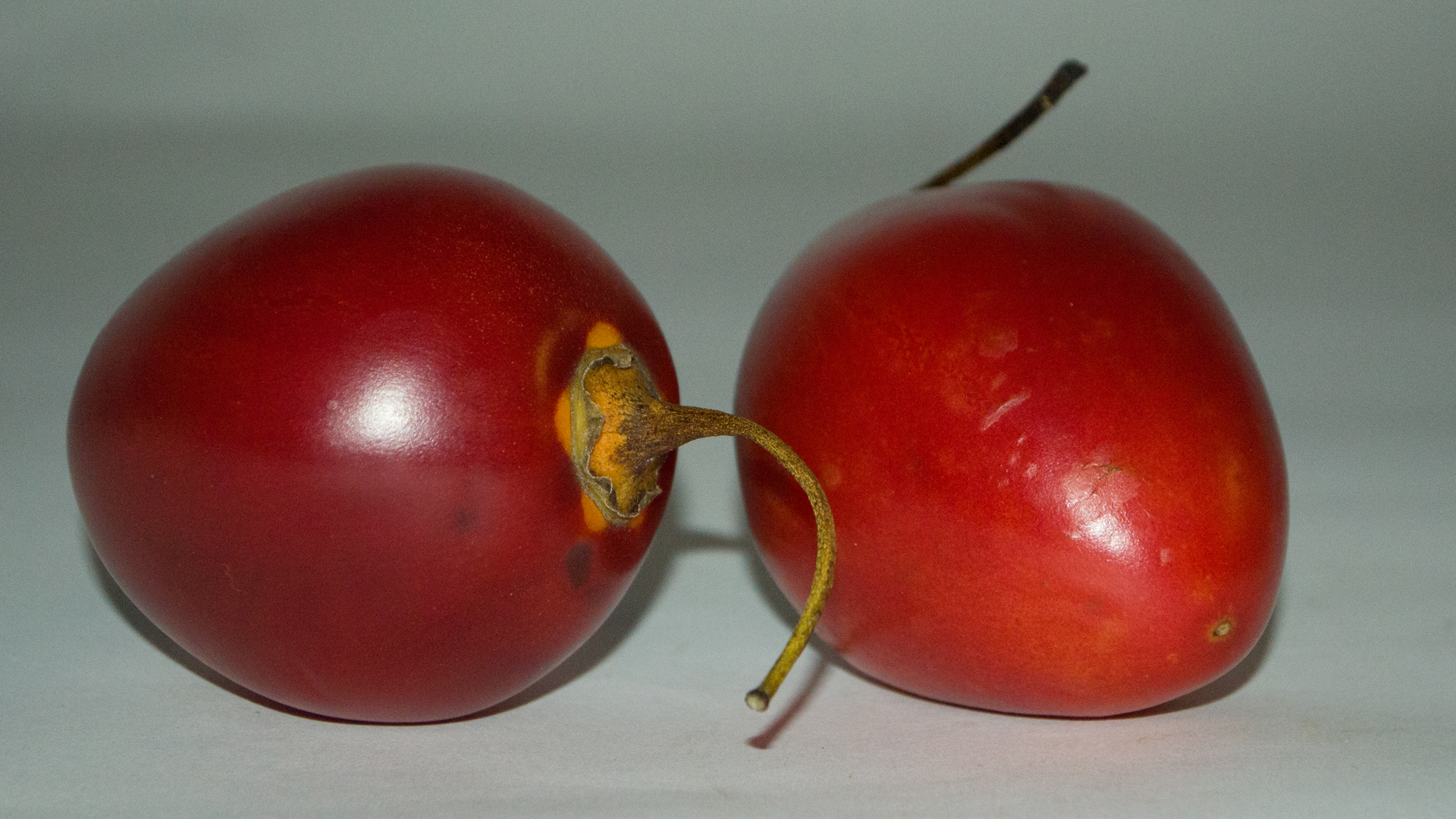 Bio Tamarillo Stück