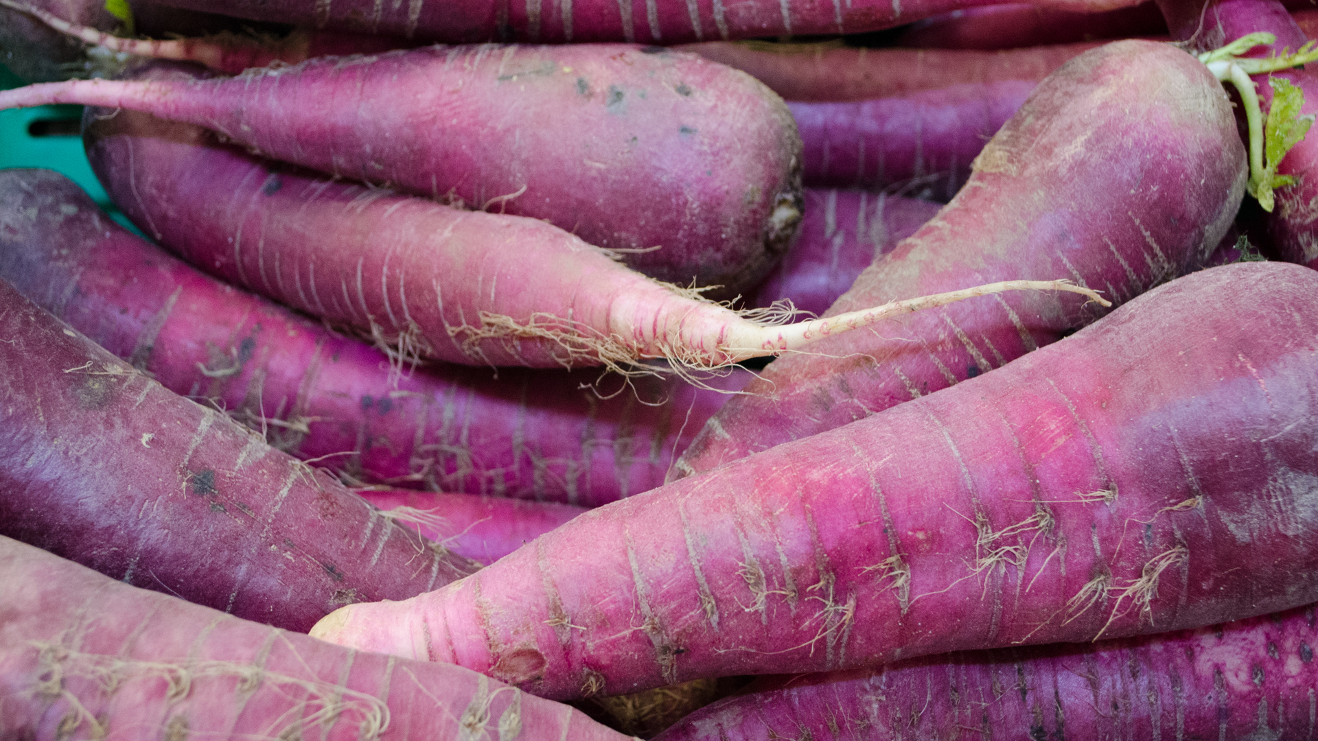Bio Rettich Rot 3kg Kiste