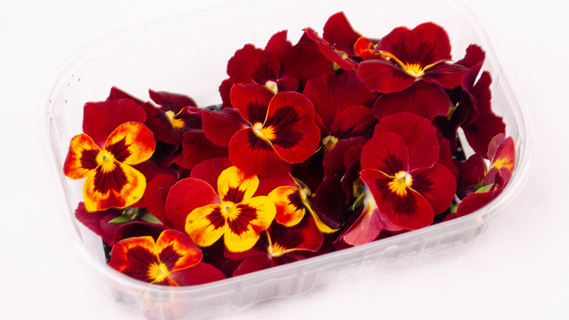 Steinkraut essbare Blüten weiss