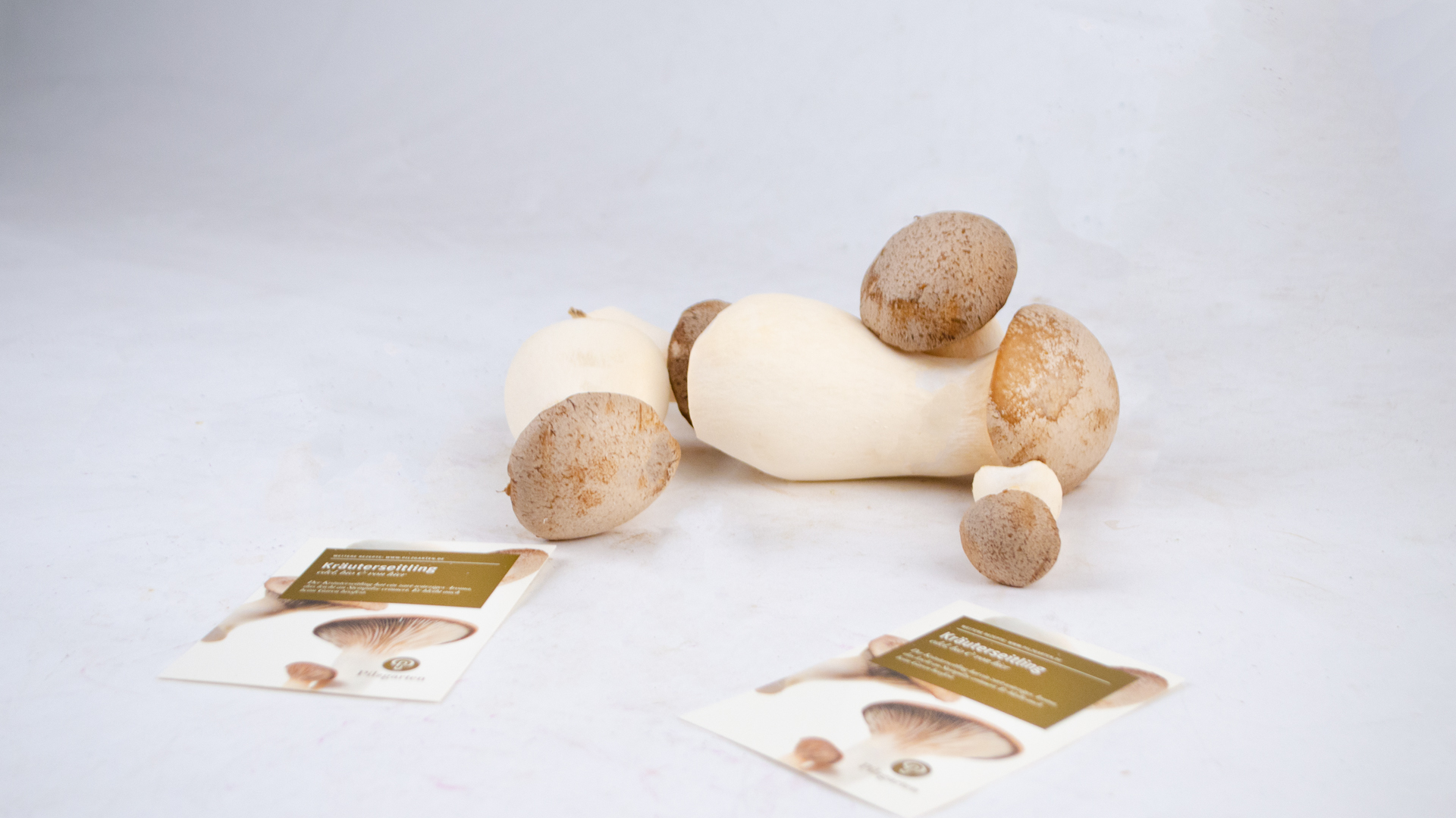 Kr-uterseitlinge-ohne-verpackung