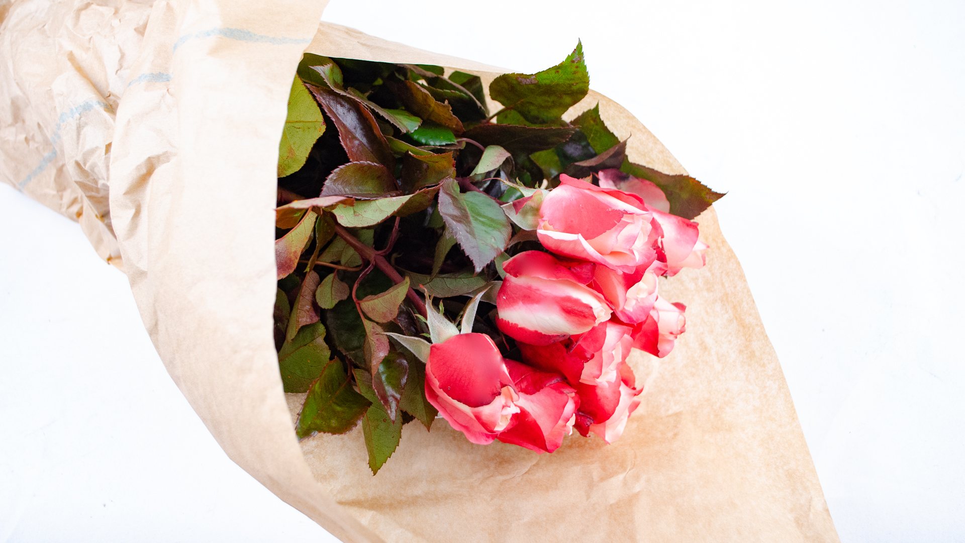 Rosen mit Stengel rosa Bund