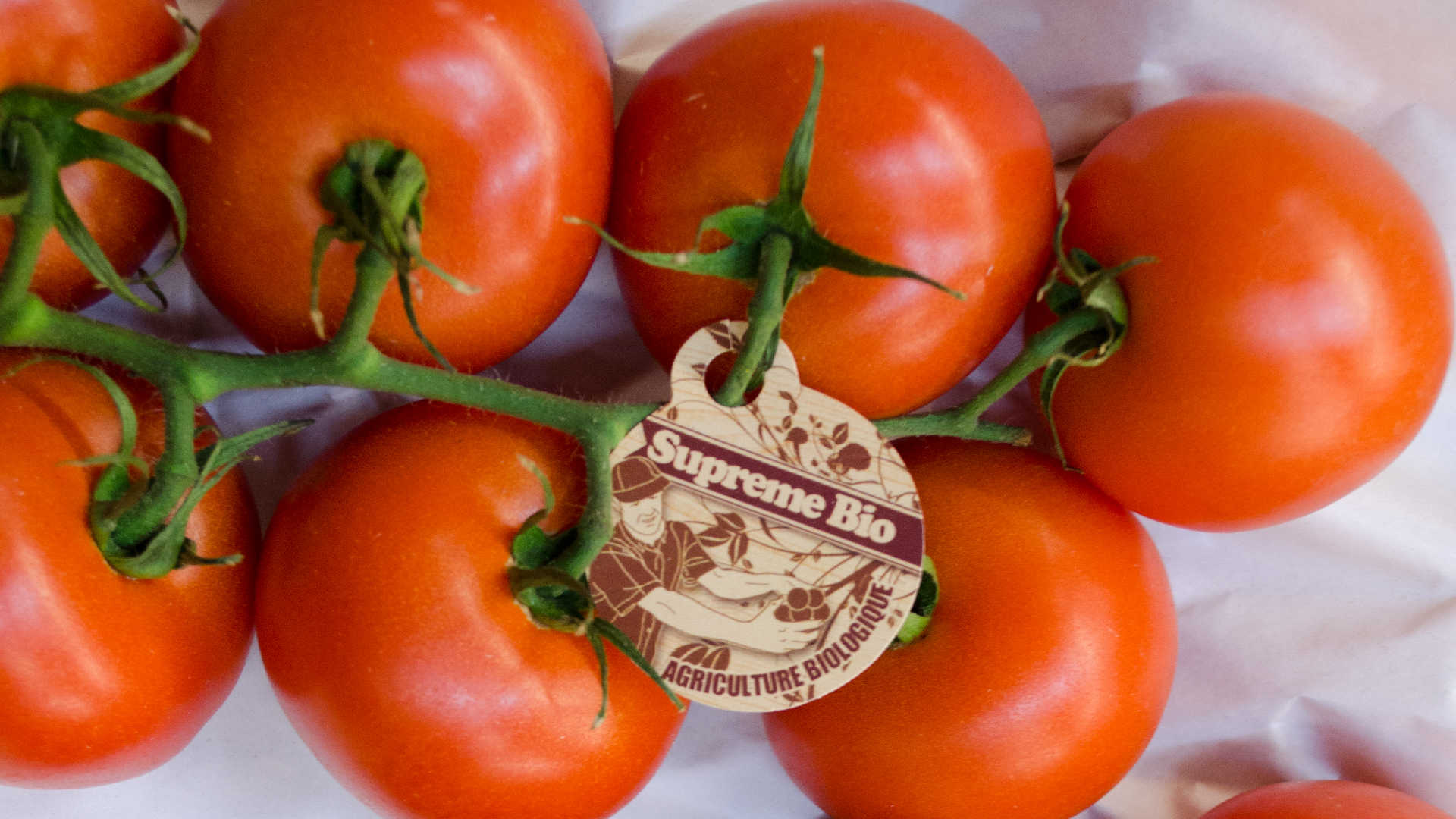 Bio-Strauchtomaten5a633679ee064