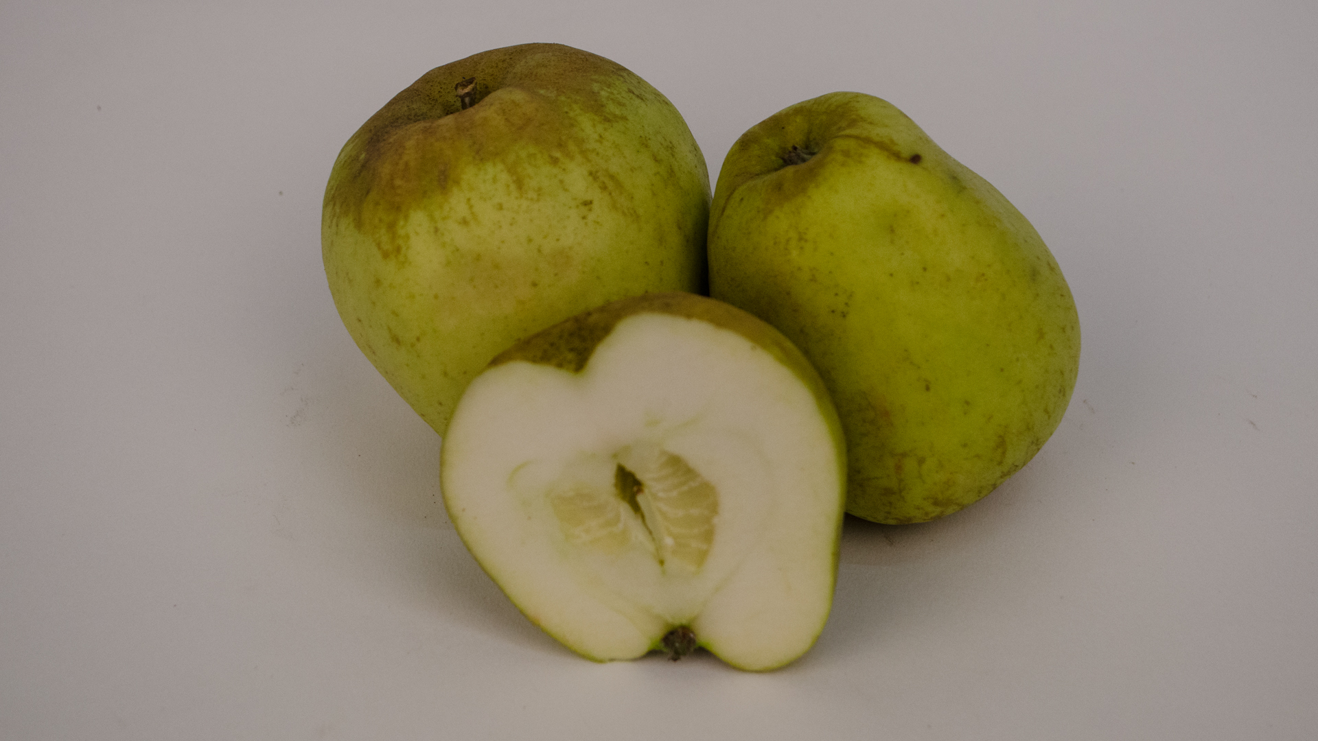 Bio Apfel Finkenwerder Herbstprinz Kiste