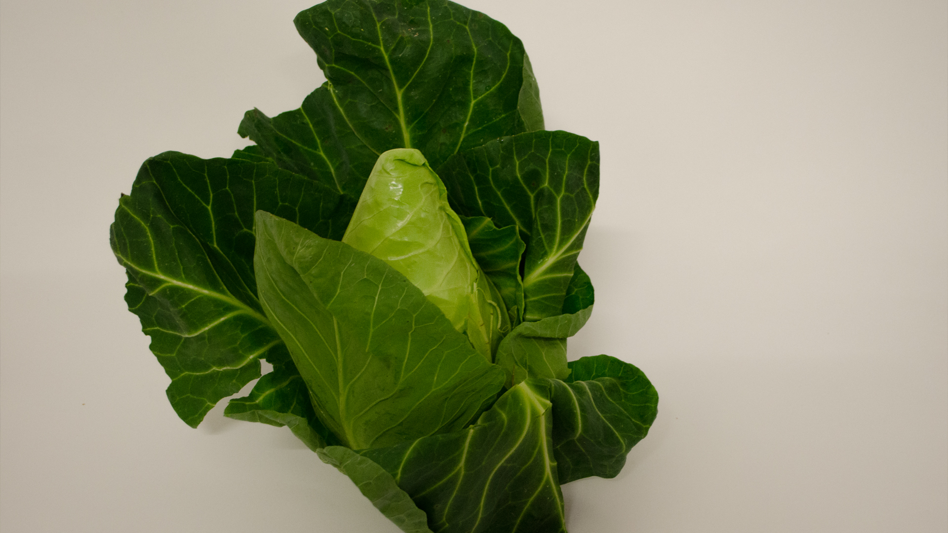 Spitzkohl Kiste