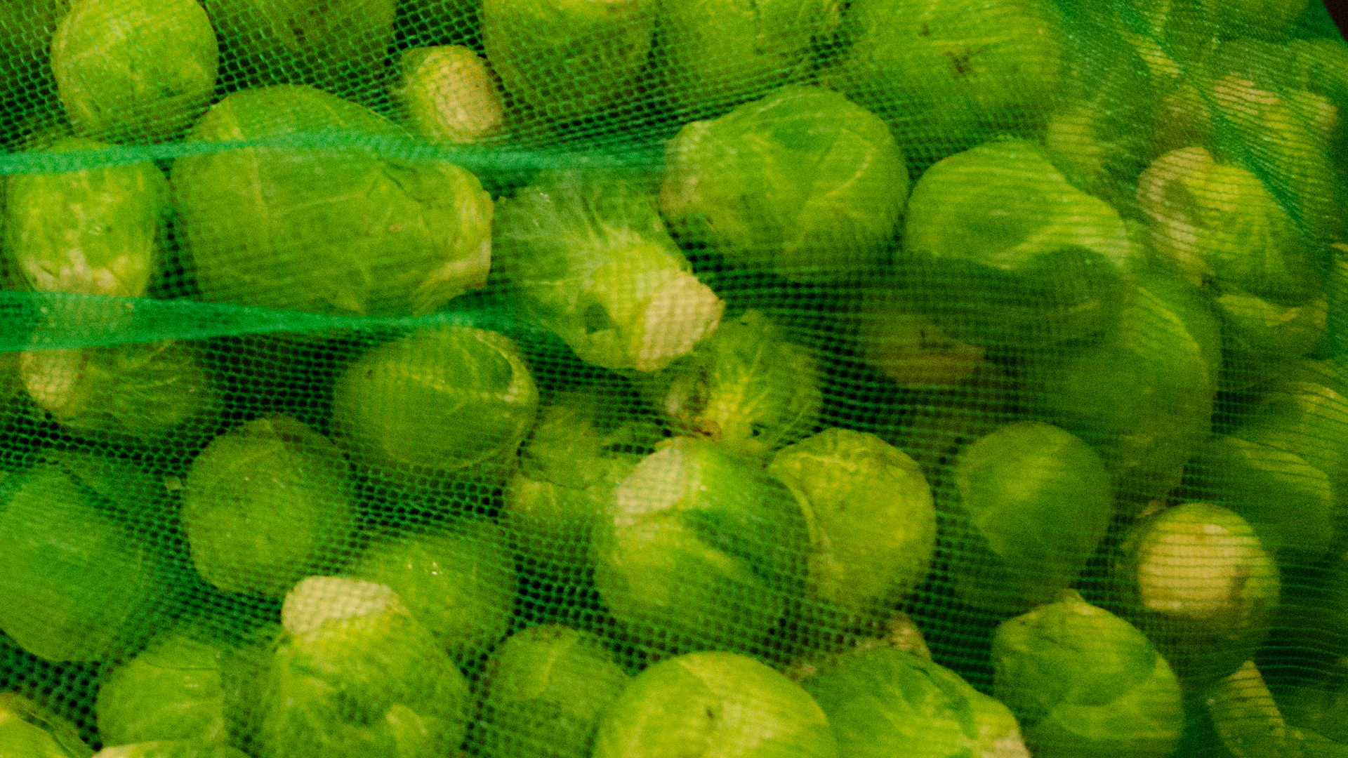Rosenkohl 5kg
