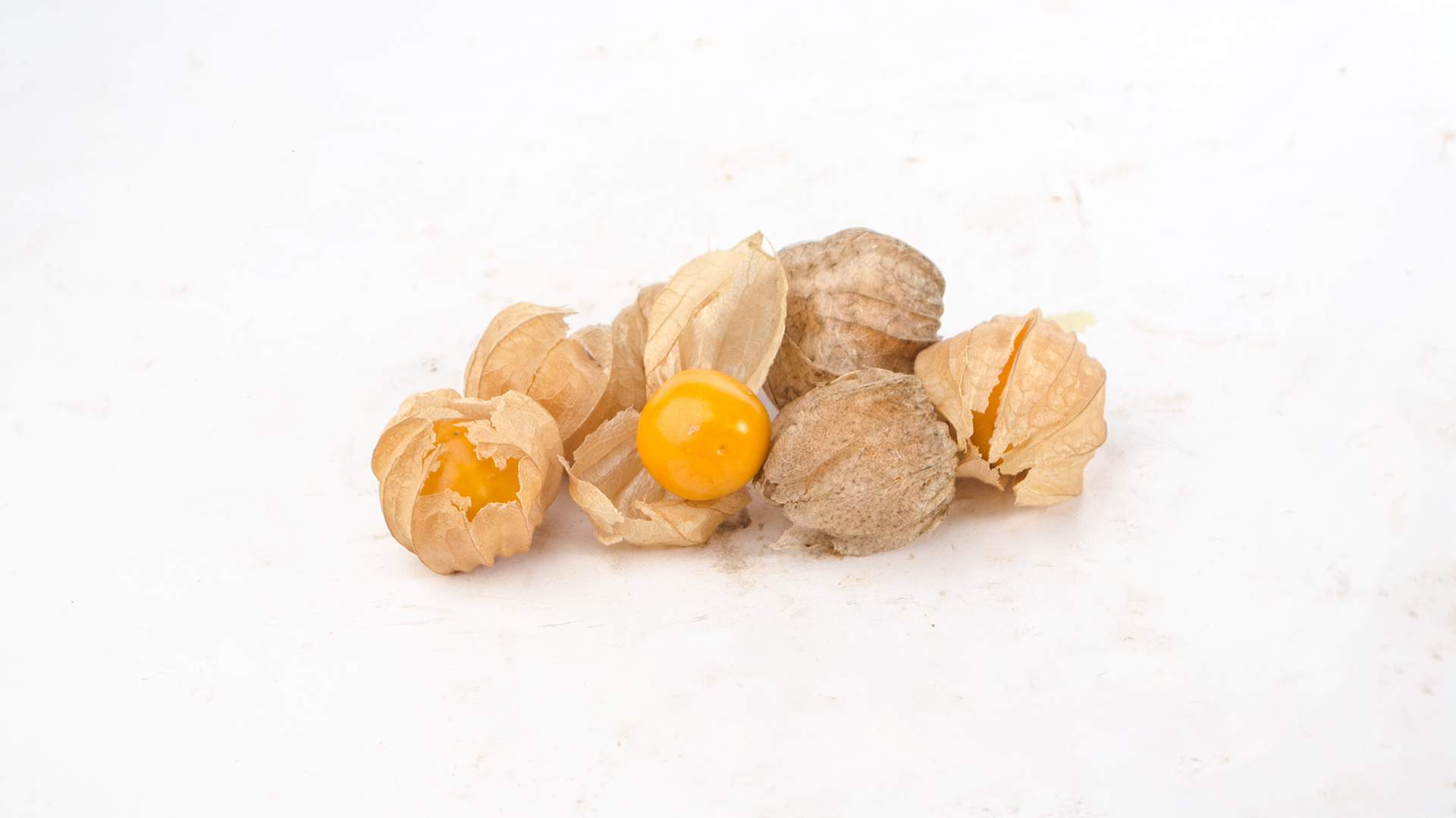 Bio Physalis Schale