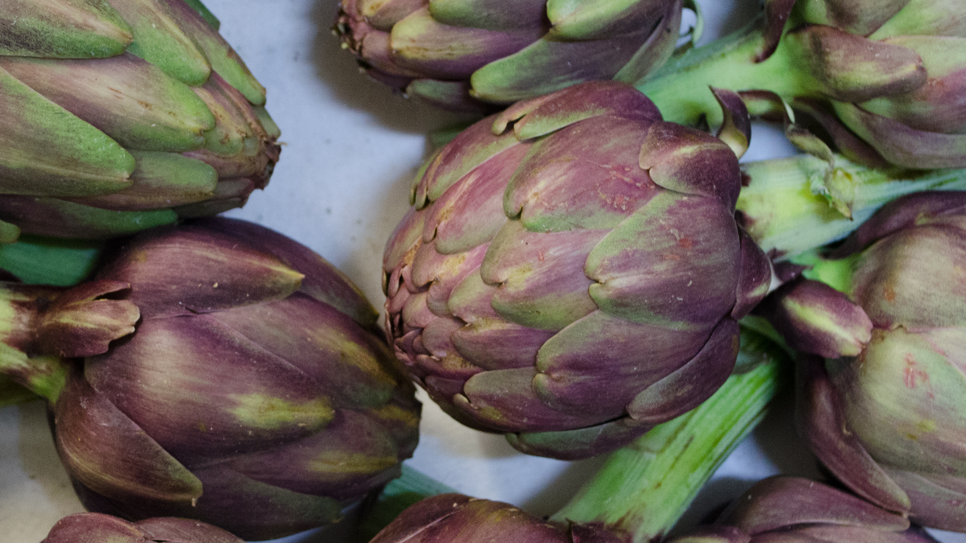 Bio-mini-artischoken