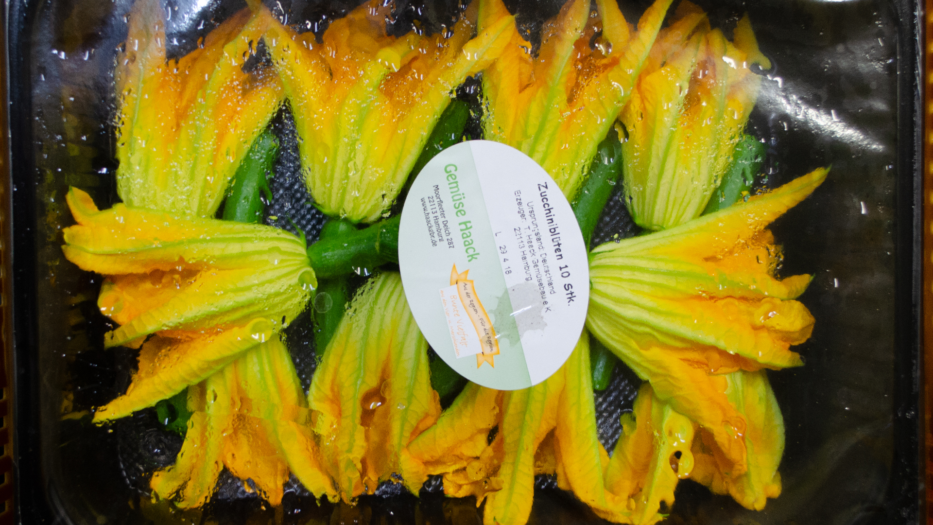 Zucchini Blüten