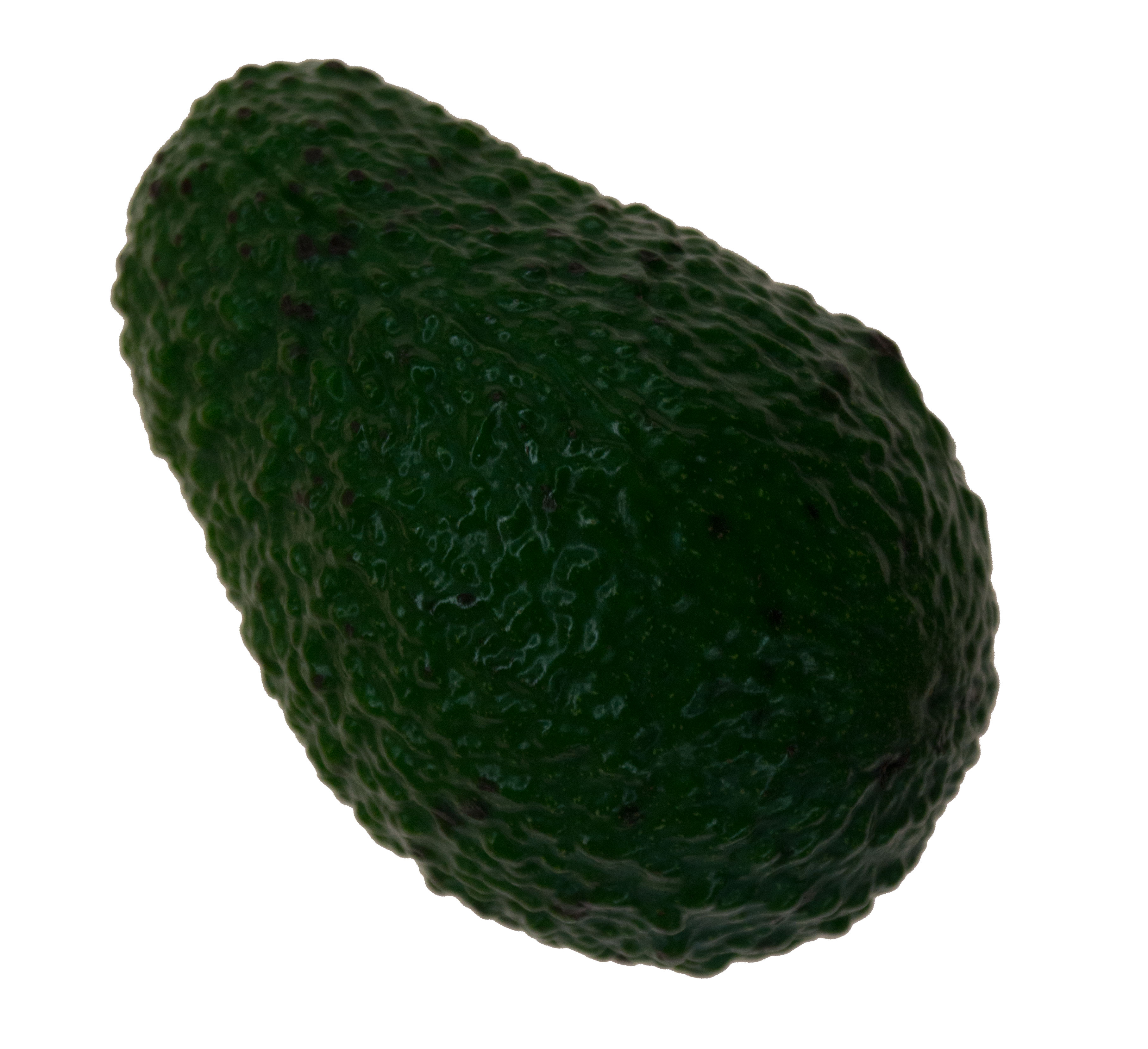 Bio Avocado Hass klein