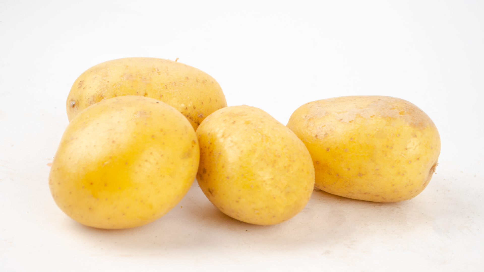 Kartoffel Linda festkochend