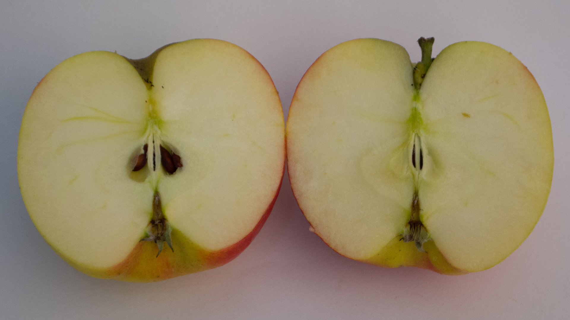 Apfel Junami Milwa