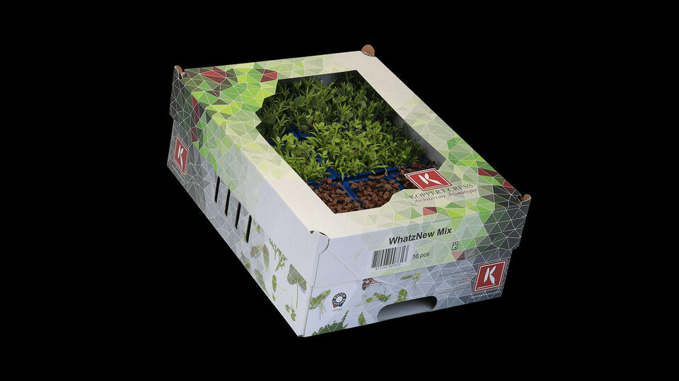 WhatZnew Mix Cress