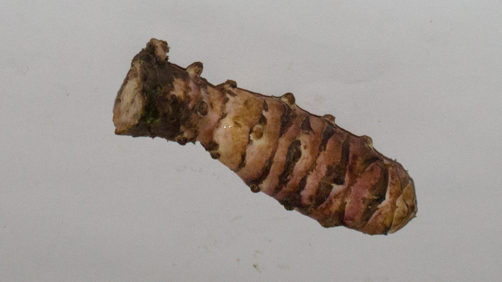 Topinambur-lose Bio Topinambur