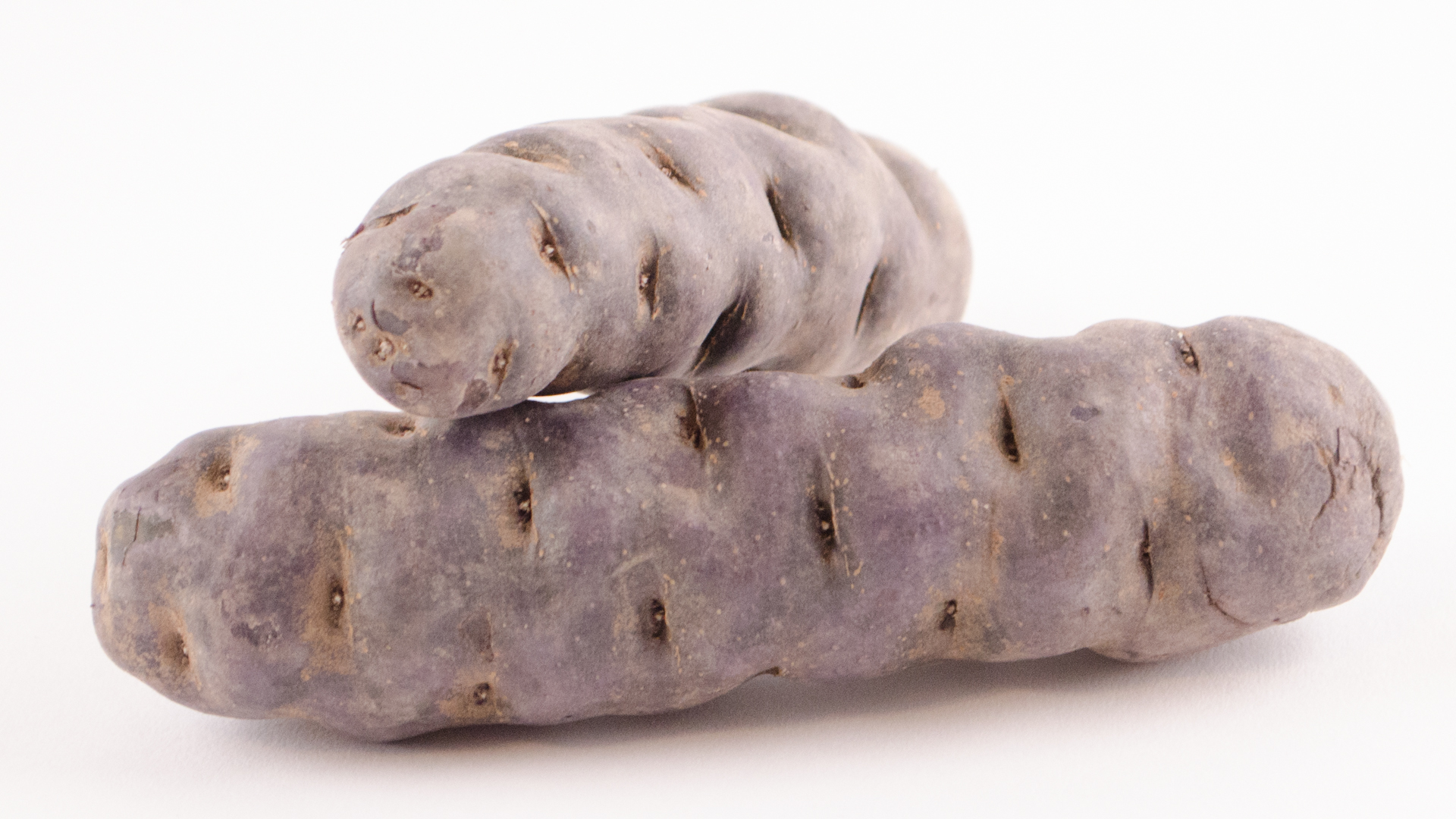 Kartoffel-lila-lang