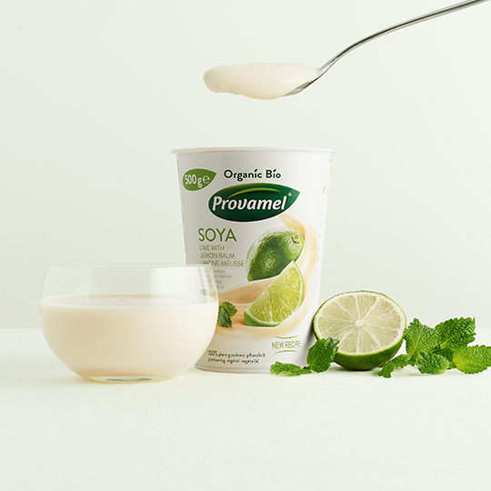 Bio Sojajoghurt Limone-Melisse