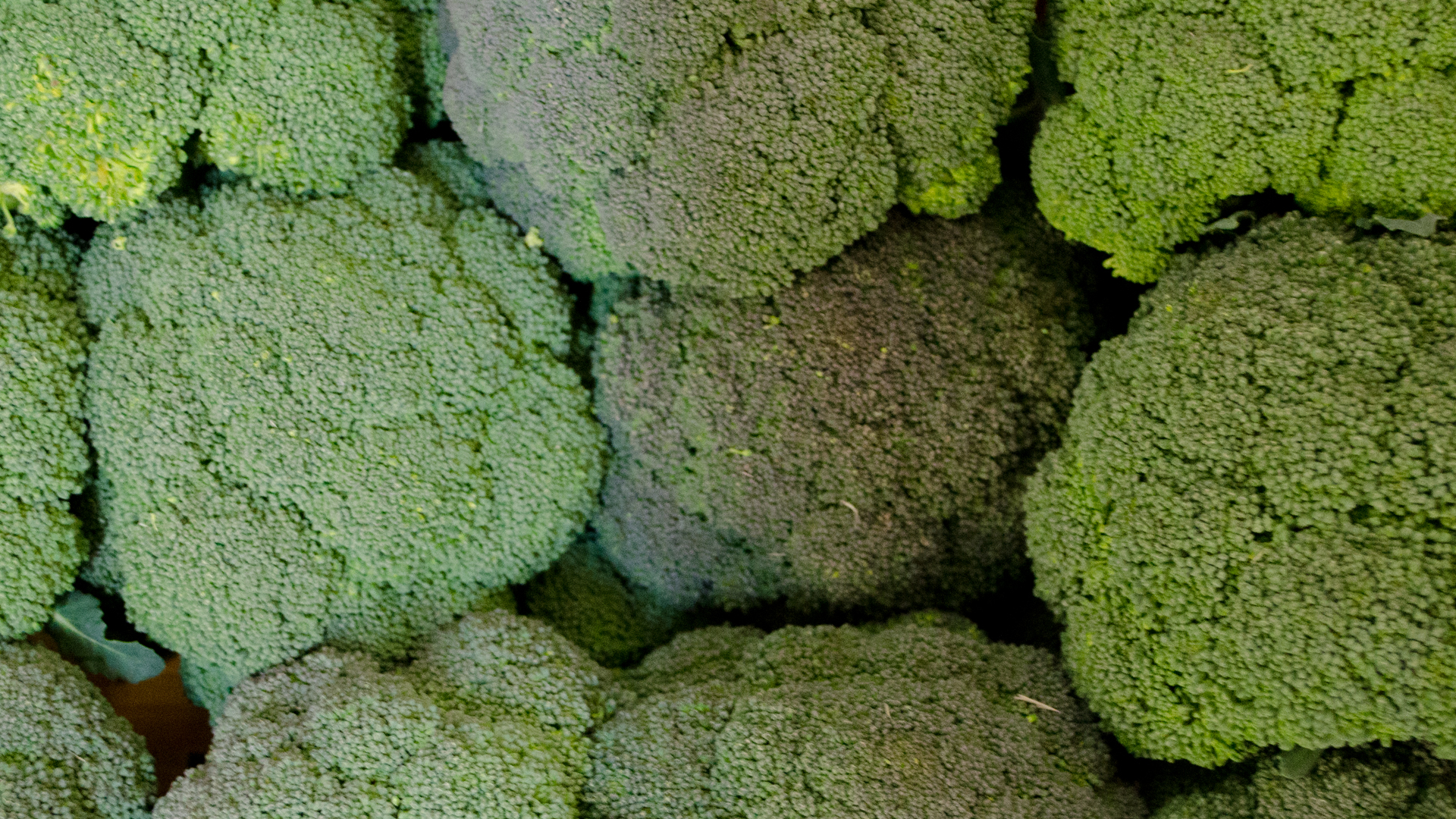 Bio Broccoli Brokkoli