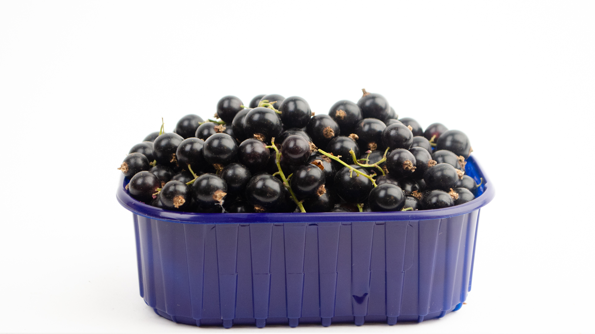 Schwarze Johannisbeeren