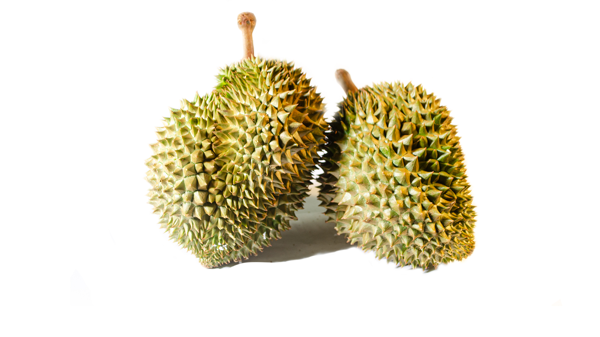 Durian-Fruchtfleisch