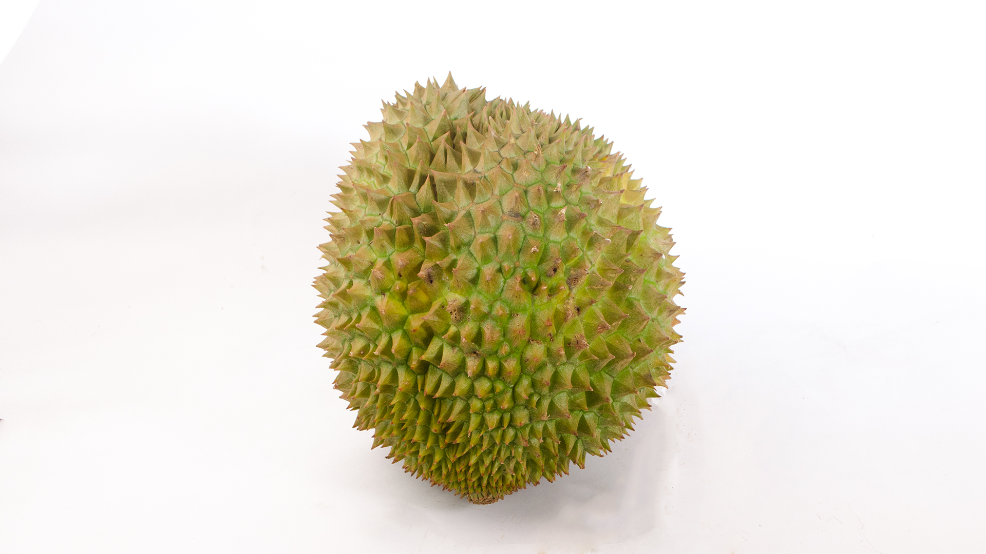 Durian-Fruchtfleisch