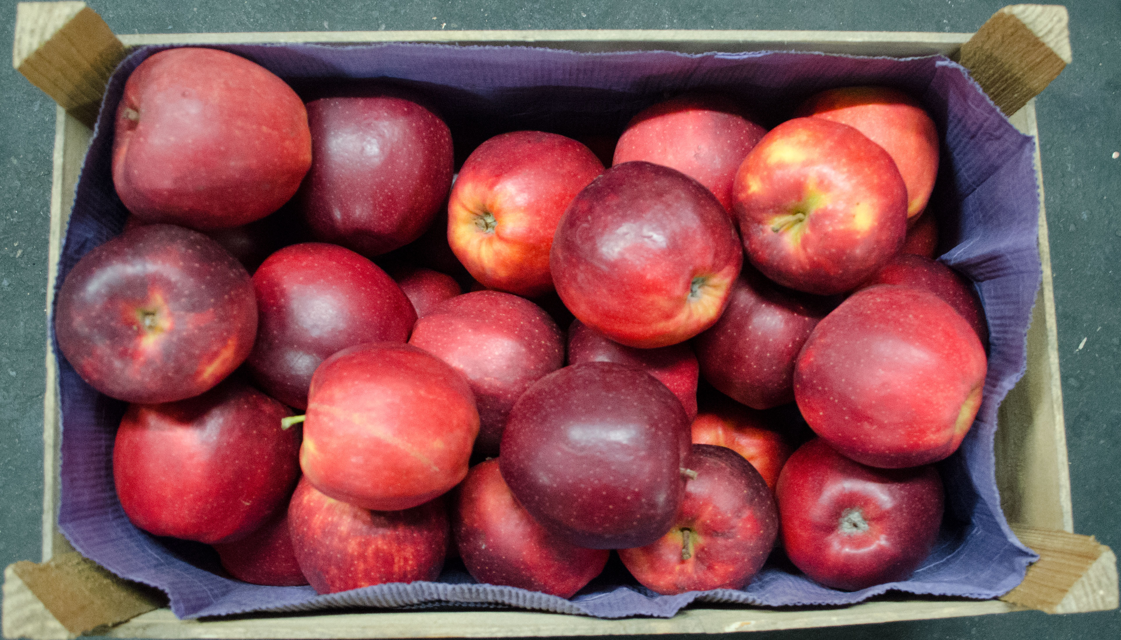 Red-Prinze-Apfel-Hamburg-Altes-Land-12-kg-Kiste