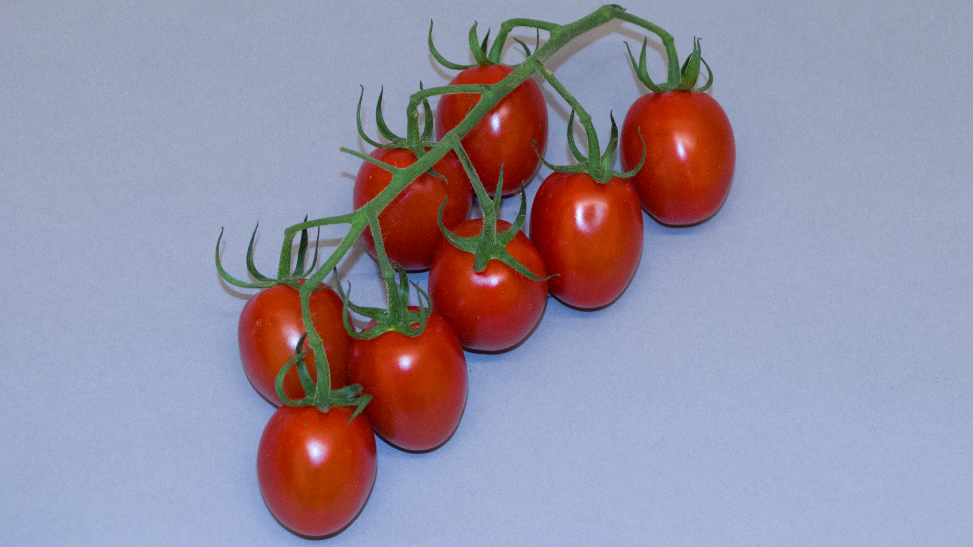 Roma Tomaten Kiste Mini-Pflaumentomaten