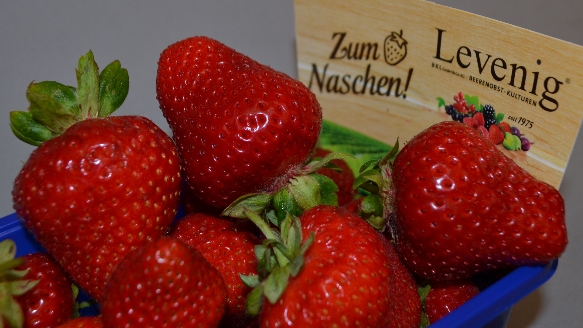 Erdbeeren