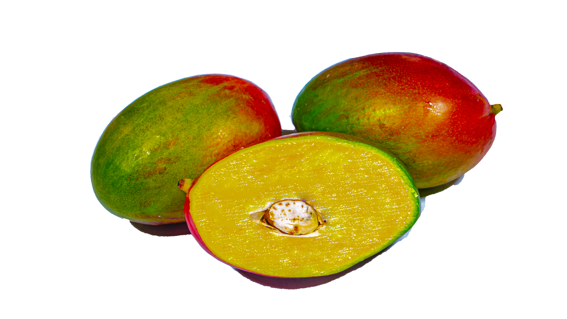 Mango Palmer