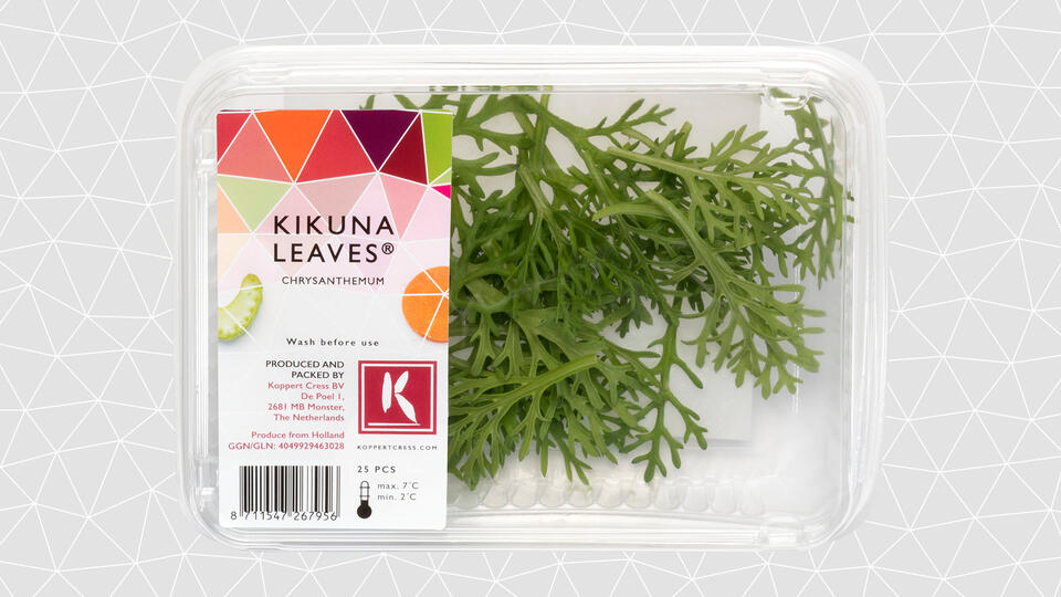 Kikuna Cress