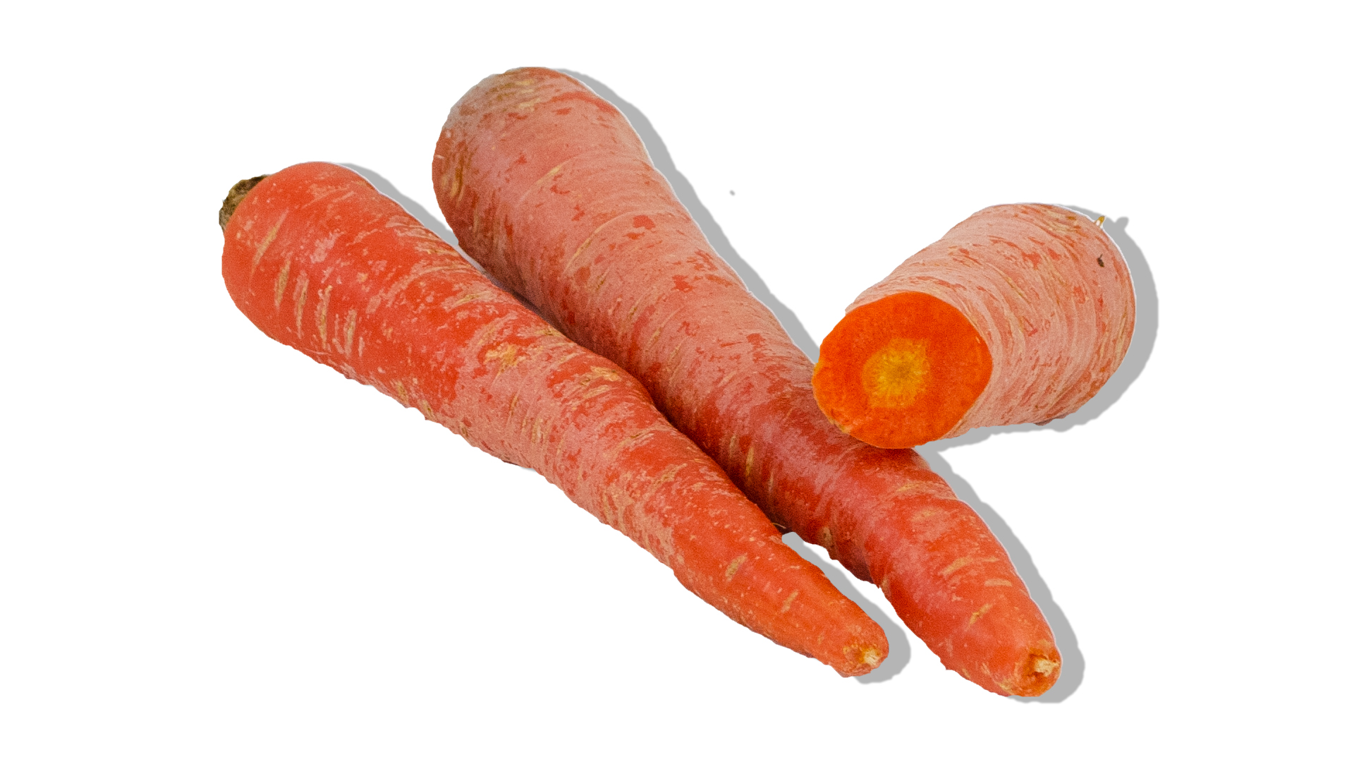 M-hren-dunkel-rotR3wZRqeYfLiRR