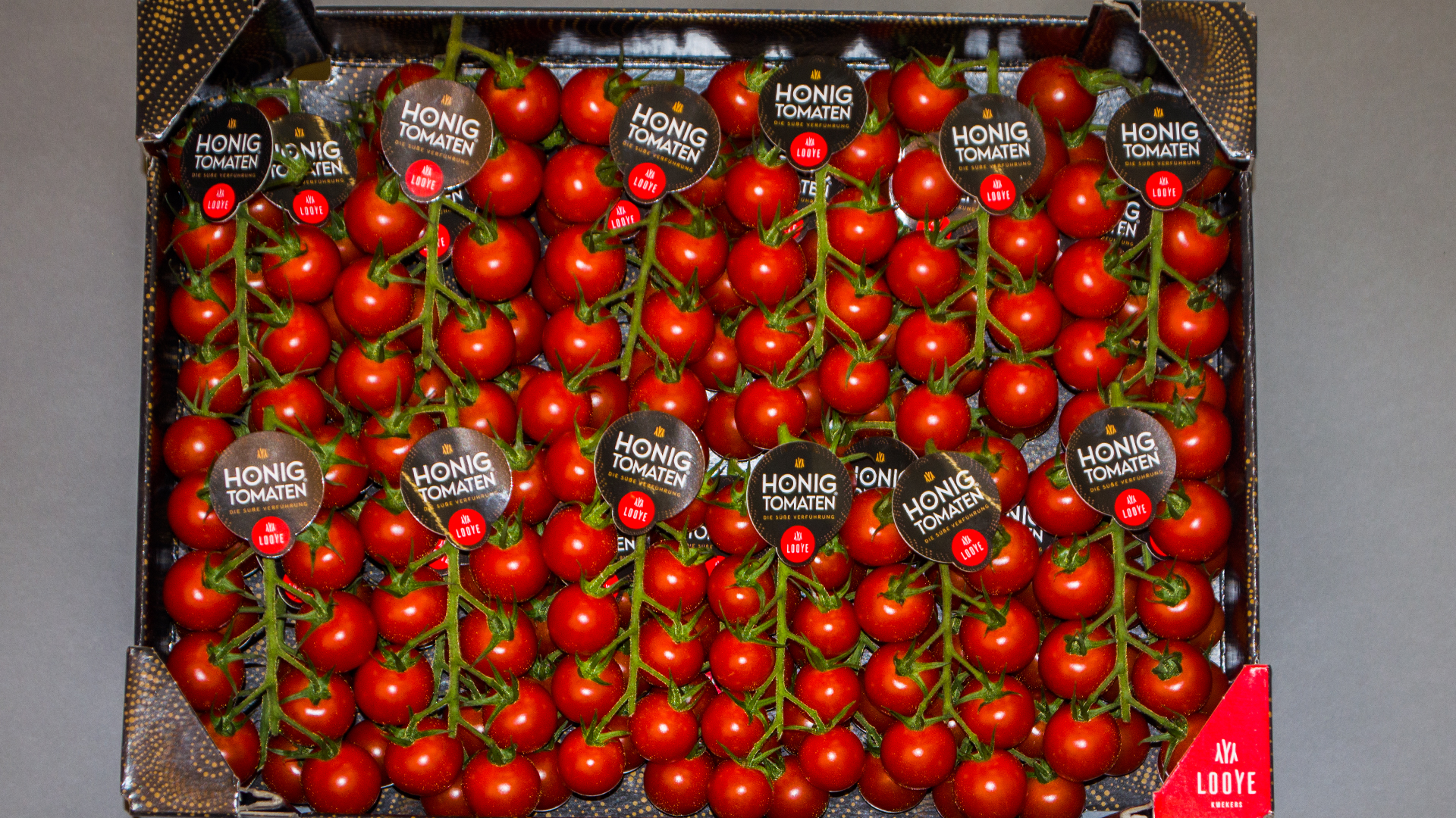 Honigtomaten (Cherry Strauch)