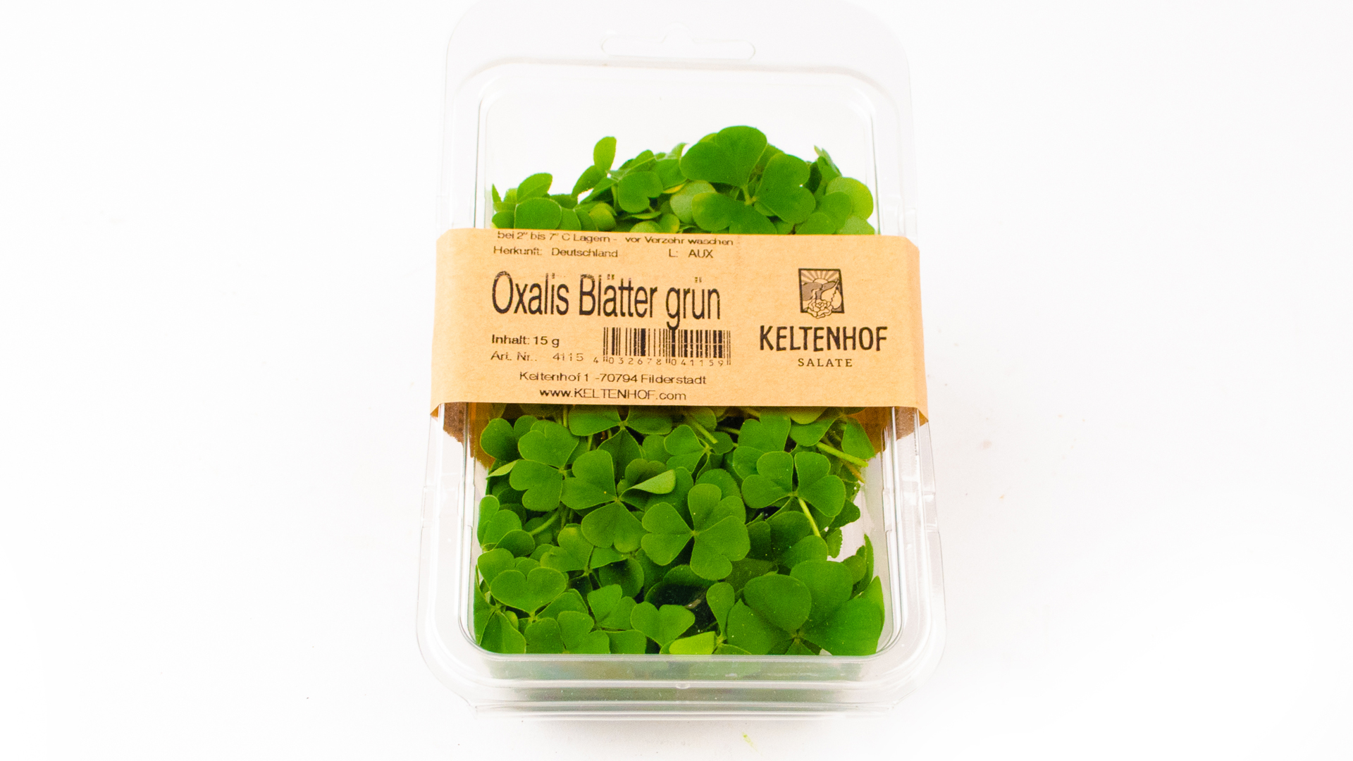 Oxalis Blätter grün