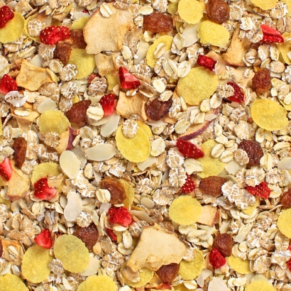 Müsli Aktiv Mischung