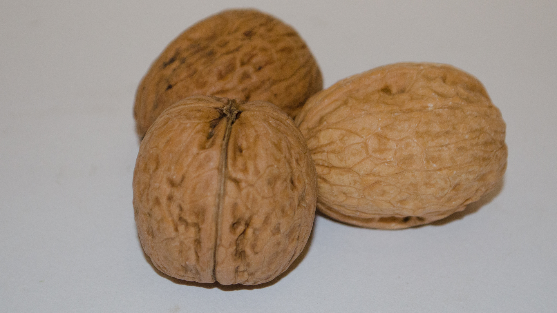 Bio Walnuss 30-32 mit Schale